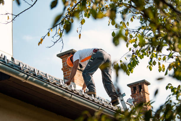 Best Gutter Installation and Roofing  in Brownsville, PA