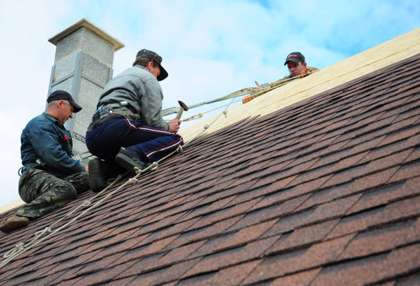 Best Commercial Roofing Services  in Brownsville, PA