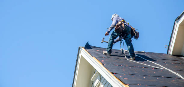 Best Roof Gutter Cleaning  in Brownsville, PA